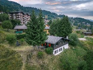 Chalet Nicolas Chalet in Riddes