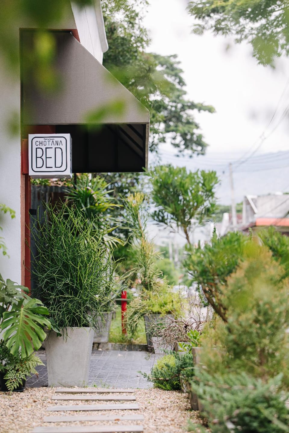 Chotana Bed Hotel in Chiang Mai