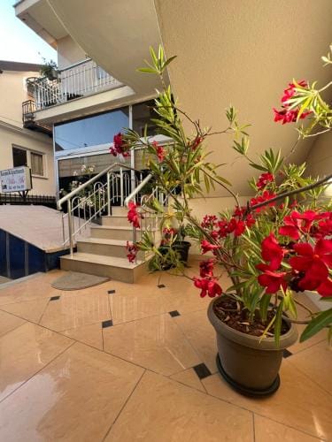 Villa Abi Center Hotel in Municipality of Ohrid, North Macedonia