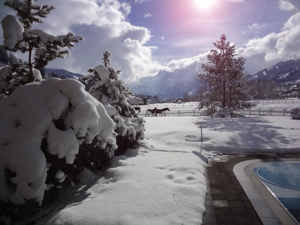 Hotel Simmenhof Hotel in Canton of Valais