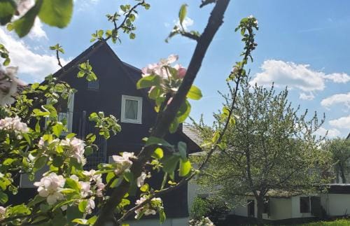 Landgasthof Steuber - Hotel garni Hotel in Hesse