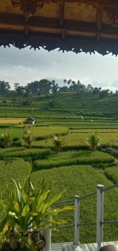 Khailash Warung and Home Stay Hotel in Sidemen