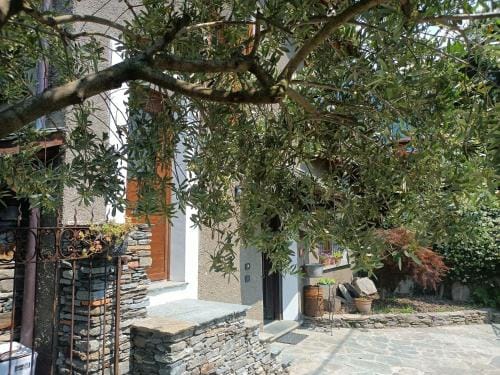 ROSINA HOUSE e CHALET Hotel in Colico