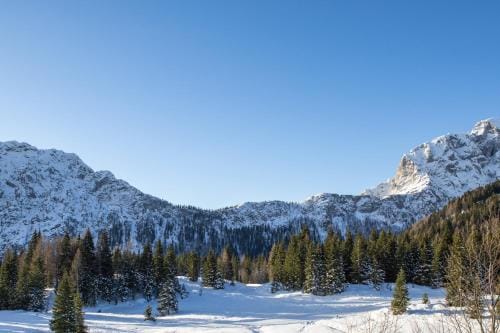 Nassfeld Fruhstuckspension Wulfenia da Livio Hotel in Friuli-Venezia Giulia