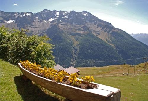 Alpenhotel zur Wildi Lauchernalp Hotel in Canton of Valais