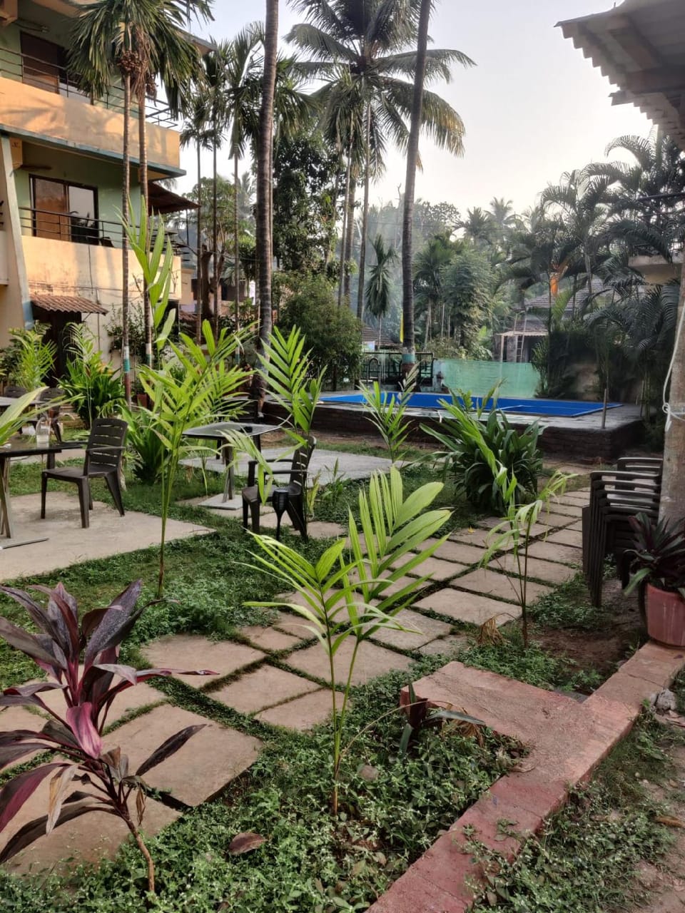 Garden