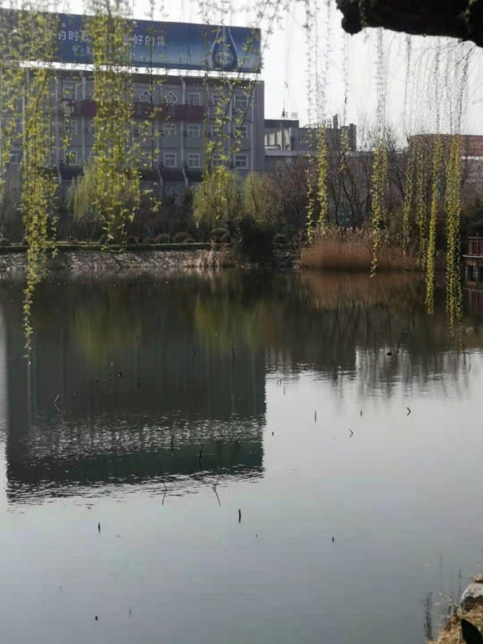 Shankee Hotel (Feng County Fengming Golden Street) Hotel in Jiangsu
