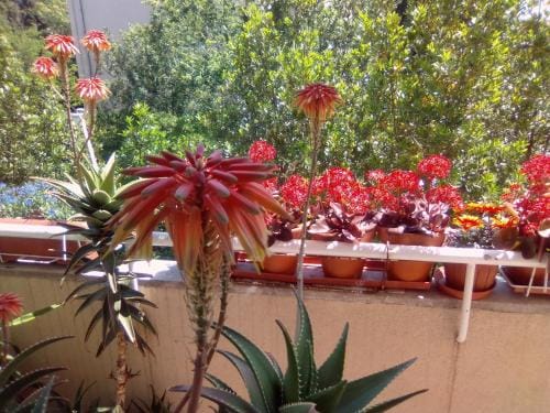 Rooms Baba Lazanja Hotel in Split