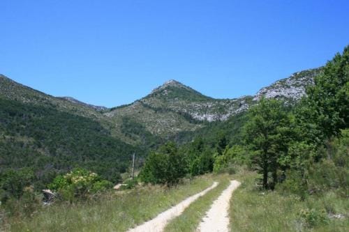 Domaine de Cruvelet Petit gite Hotel in Verdon Gorge