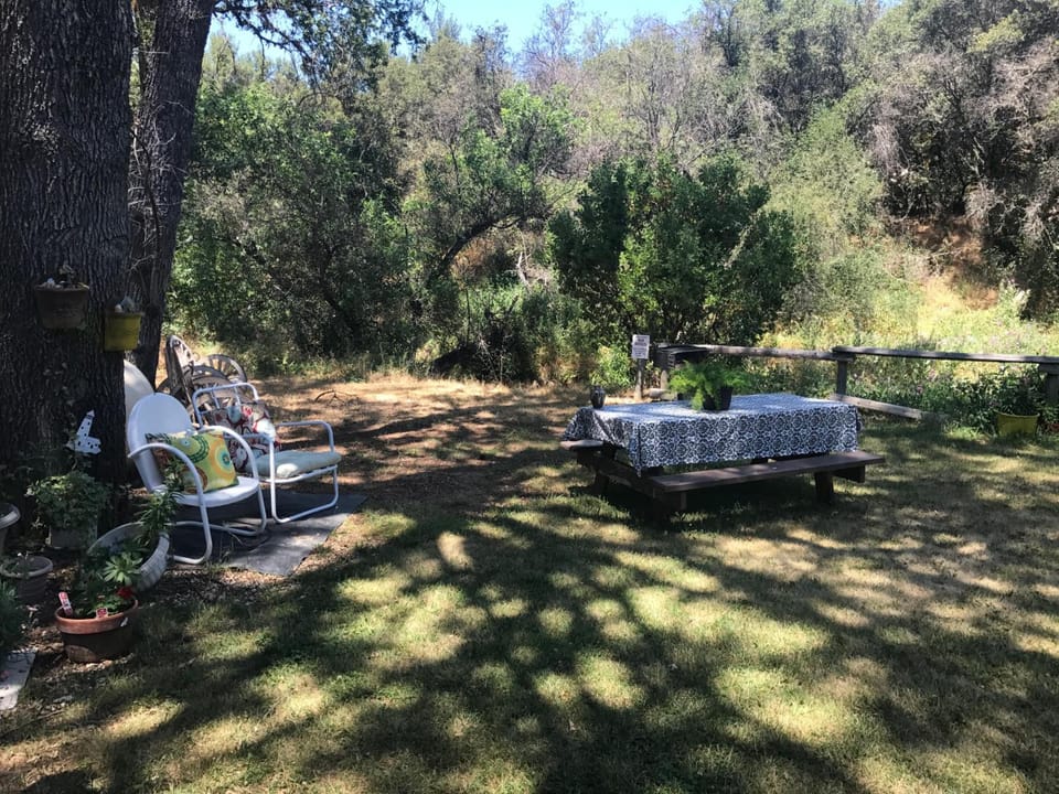 Creekside Lodge Motel in Clear Lake