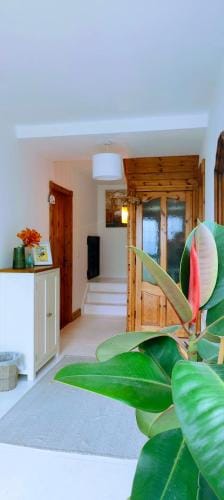 Happy Hill Guesthouse Hotel in County Waterford