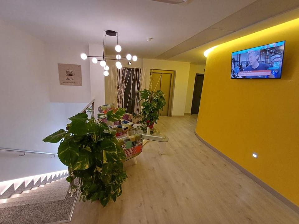 Aureo Alojamiento Urbano Hotel in Region of Murcia