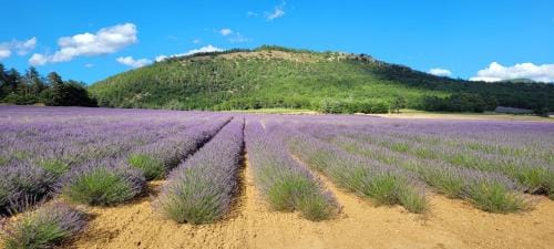 Le Jas de Volonne Hotel in Provence-Alpes-Côte d'Azur