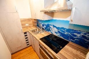 Penthouse EightyOne Kaprun incl SUMMER CARD Hotel in Piesendorf