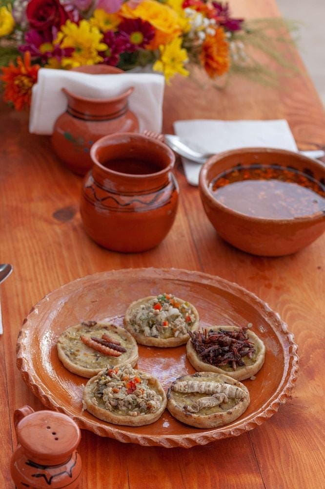 Glamping Octli Hotel in State of Puebla