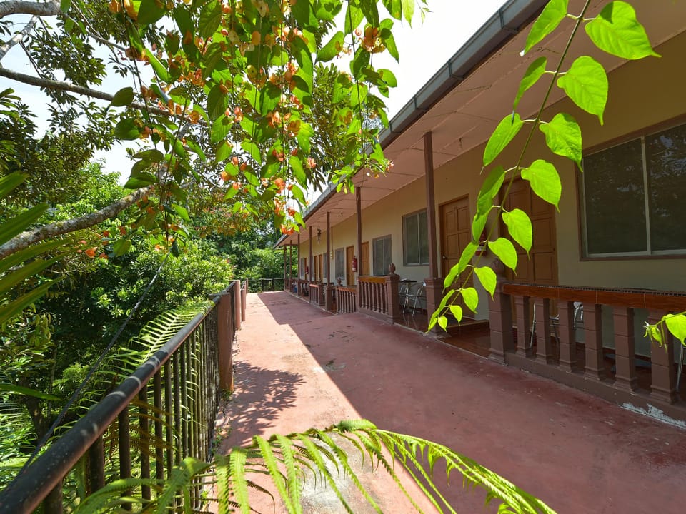 Exterior view