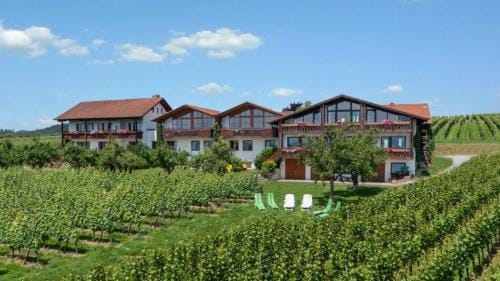Weinberghof Hotel in Hagnau am Bodensee