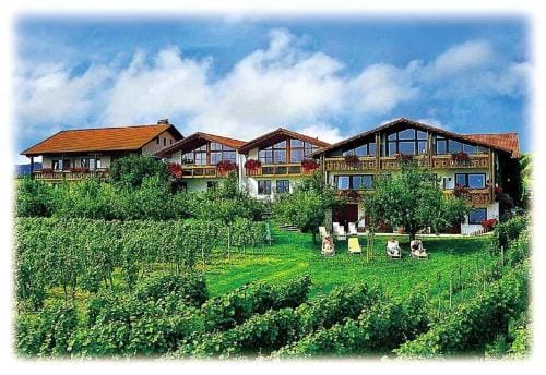 Weinberghof Hotel in Hagnau am Bodensee