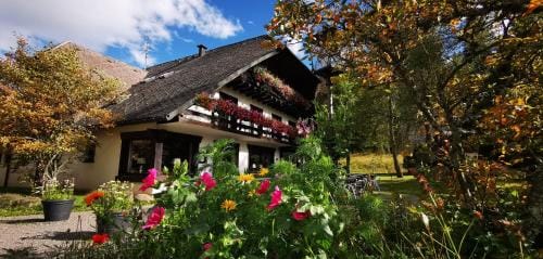 Gastehaus Behabuhl Hotel in Hinterzarten