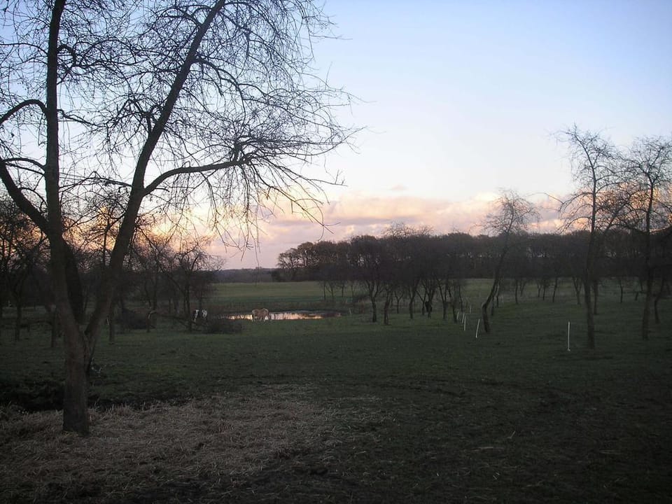 Teglgaarden bed and breakfast Hotel in Svendborg