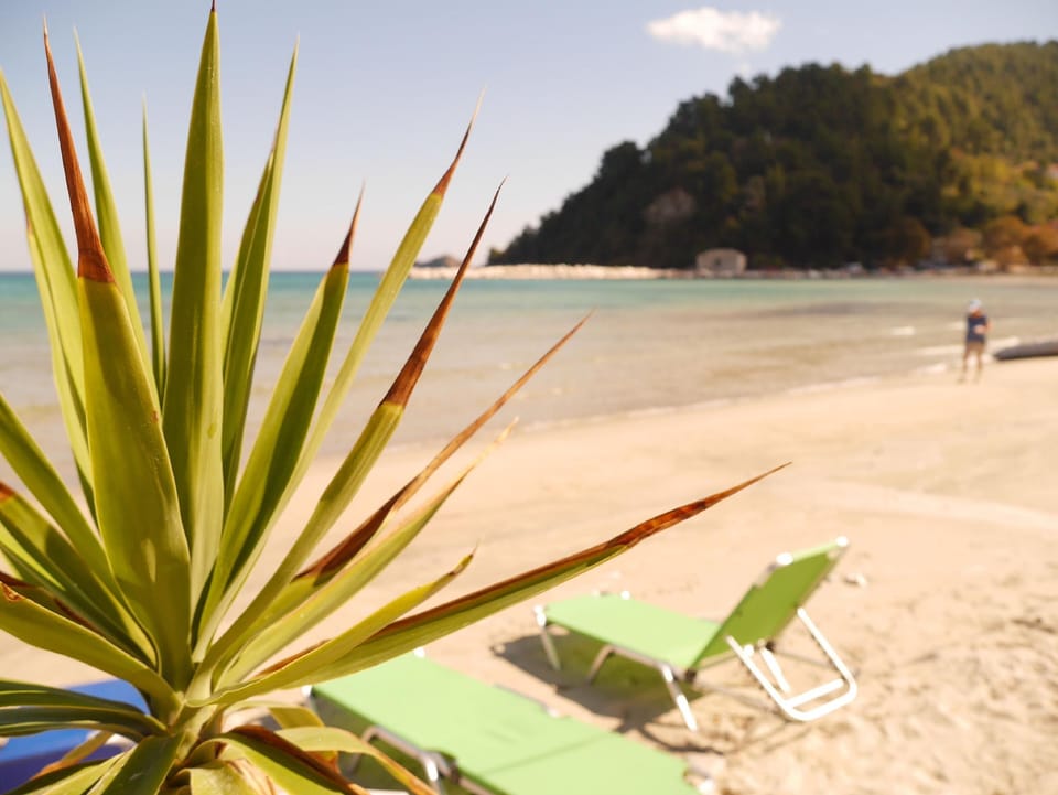 Blue Bay Beach Hotel Hotel in Thasos