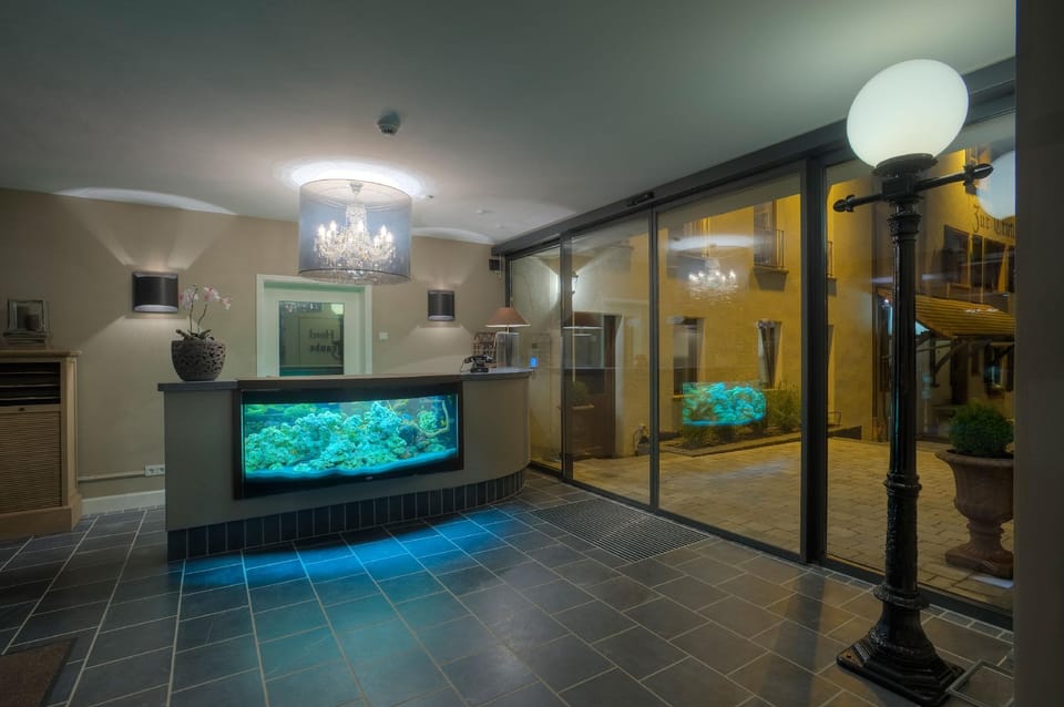 Hotel Zur Traube Hotel in Saarland, 66, Germany