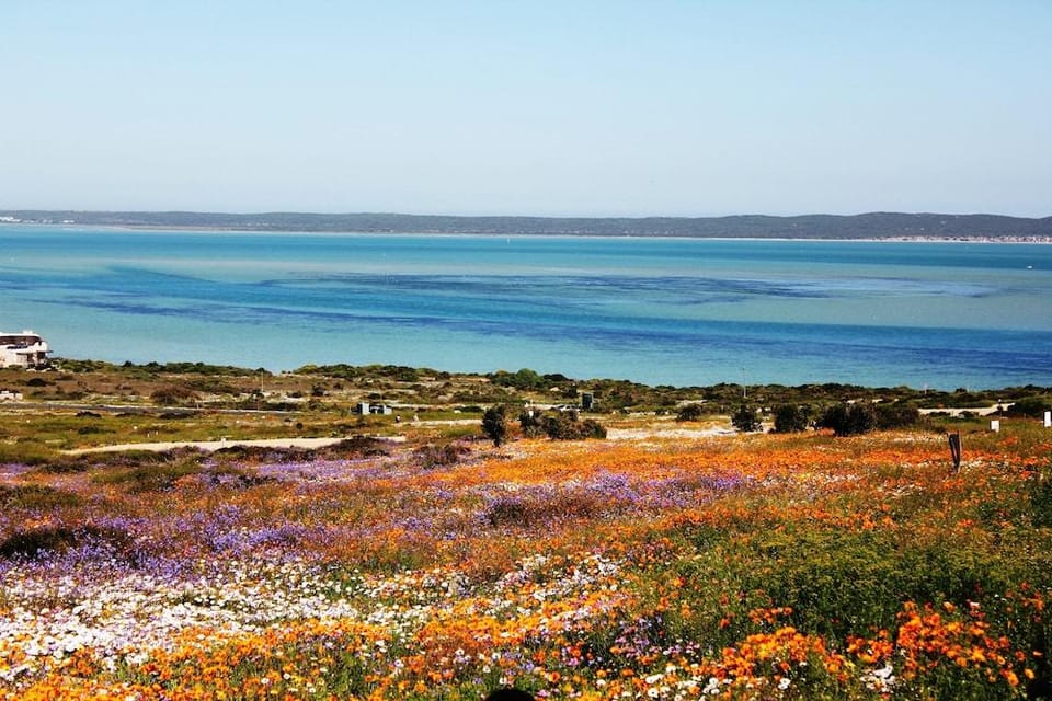 11 Kian S Place Self Catering Hotel in Western Cape
