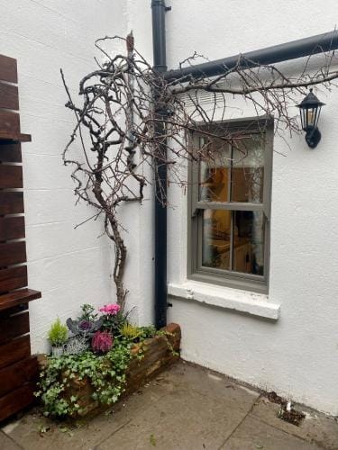 Number 31 Boutique Townhouse Hotel in Galway