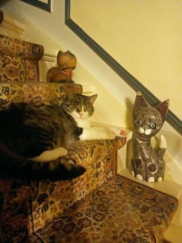 Villa des Chats Hotel in Calais