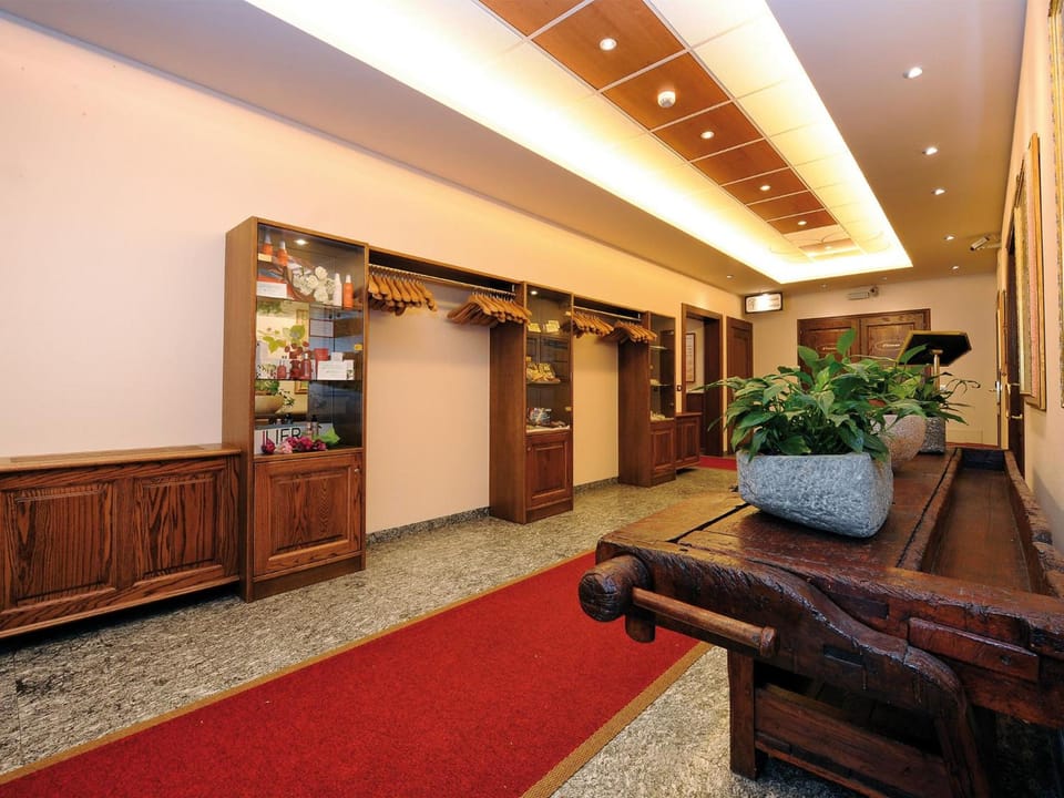 Stella Alpina Hotel e Ristorante Hotel in Canton of Ticino