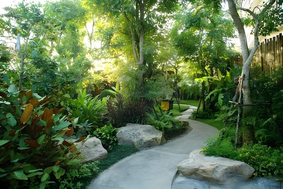 Garden