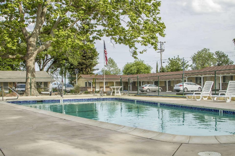 Swimming pool [outdoor]