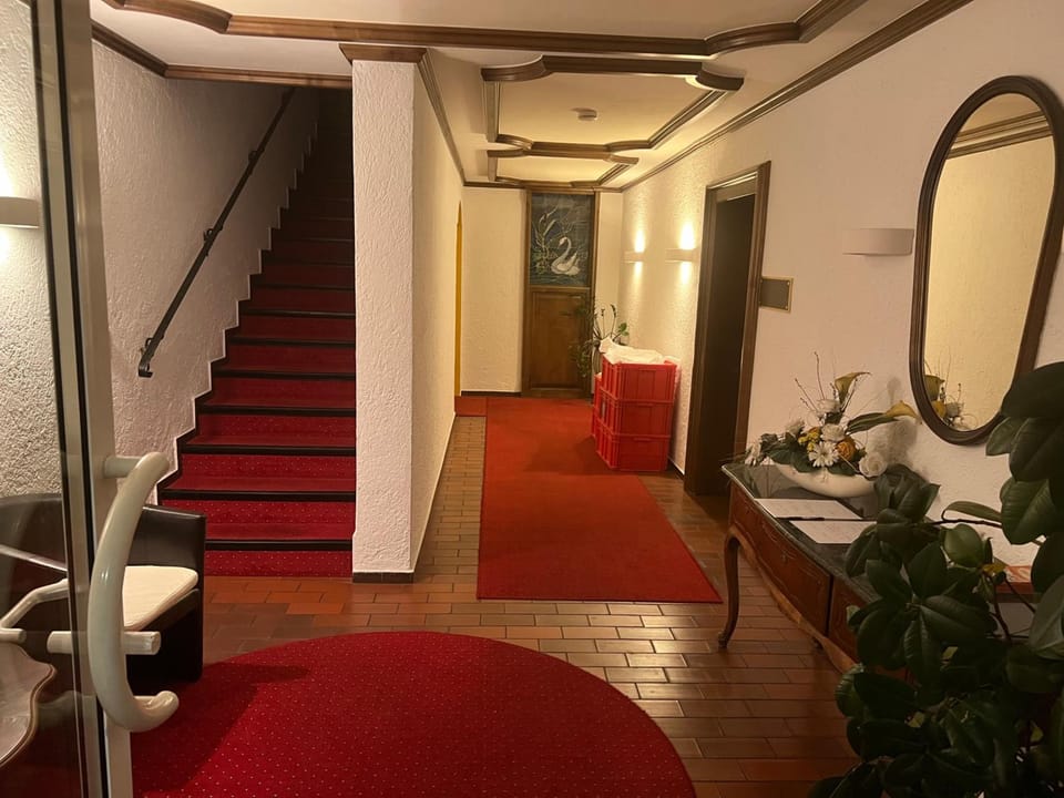 Hotel Schwan Hotel in Baden-Baden