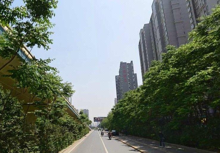 Platinum Palace Hotel Hotel in Xian