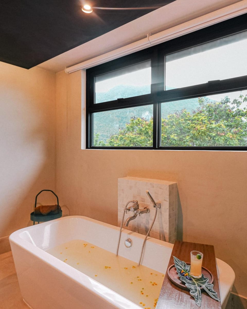The Funny Lion- El Nido Hotel in El Nido