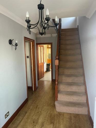 Shared house on Southmead Hotel in Bristol