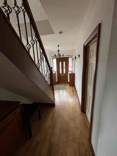 Shared house on Southmead Hotel in Bristol