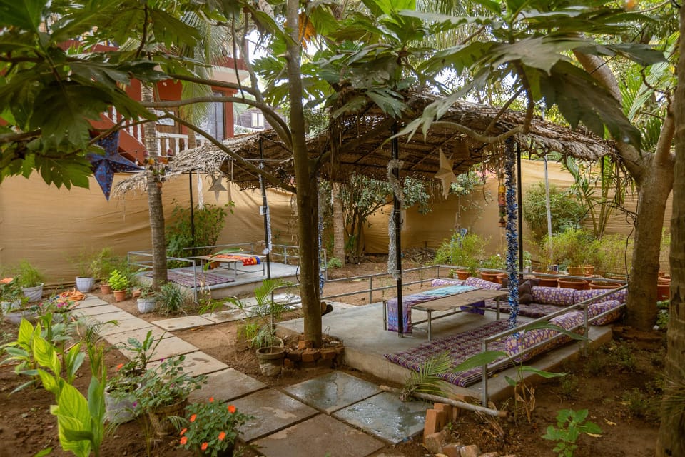 Garden