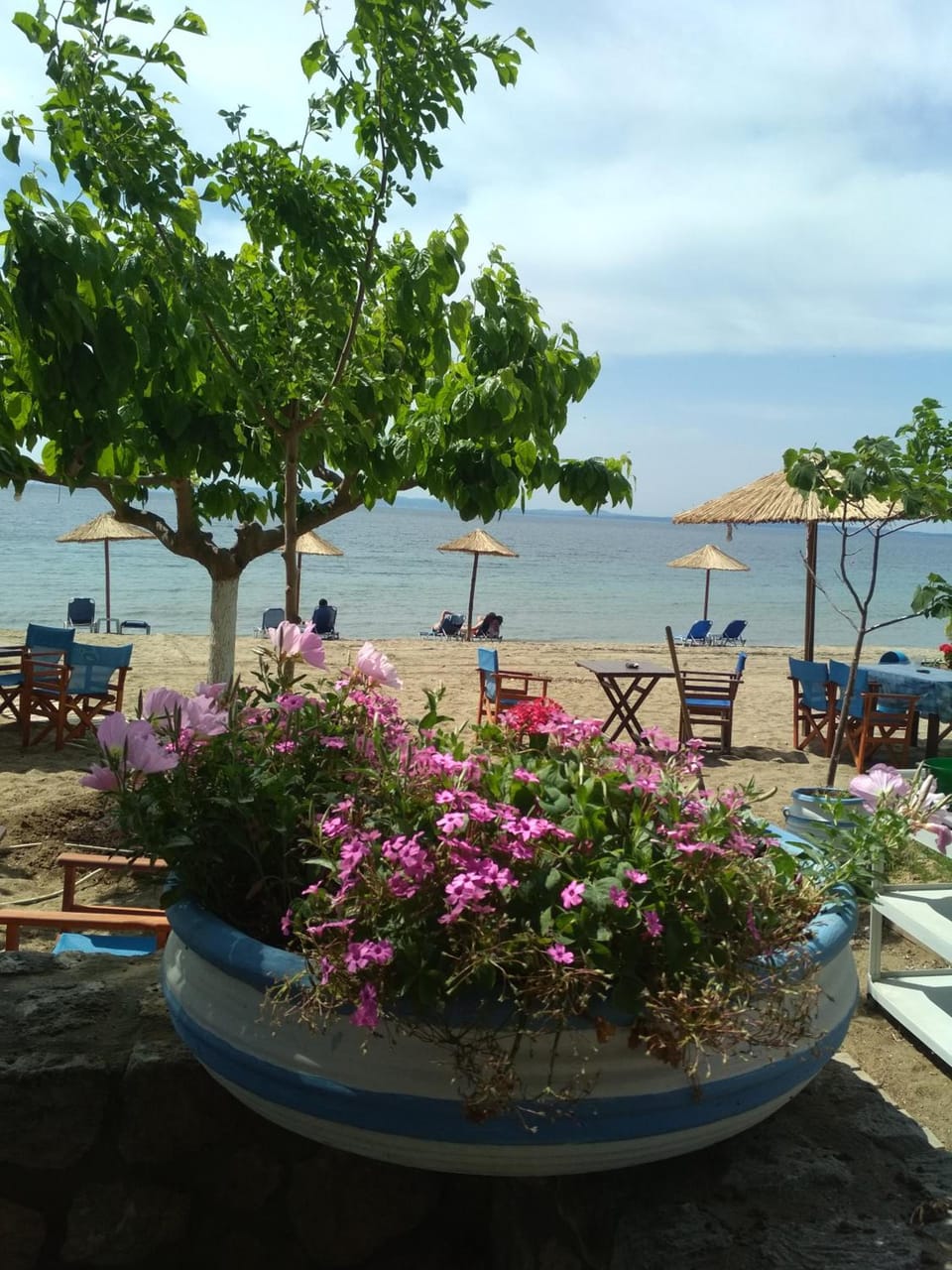 Paschalia sea view studios Hotel in Halkidiki