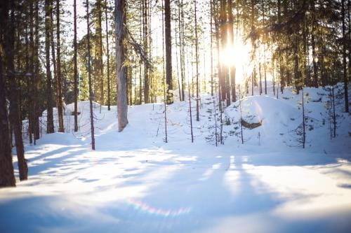 Crow Creek Cabins Lodge in Lapland