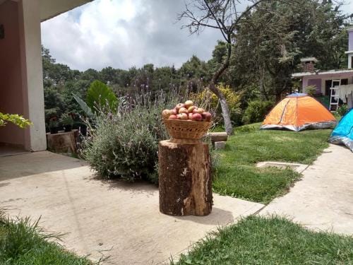 Hotel Bosques Hotel in State of Puebla