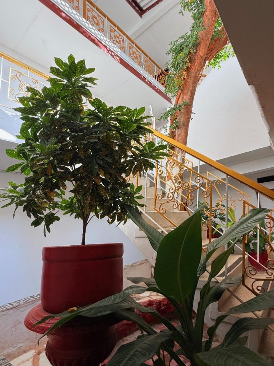 Hotel Rosandy Galaxy Hotel in Cartagena