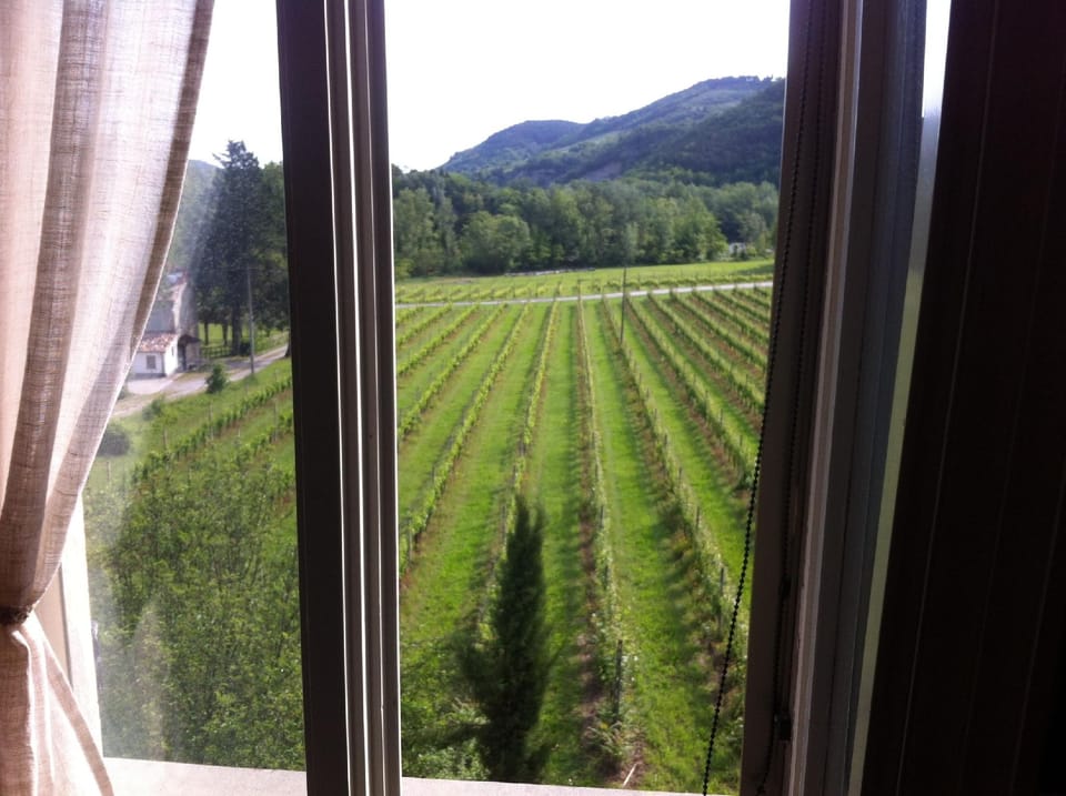 Corte San Ruffillo-Azienda Agrituristica Hotel in Emilia-Romagna