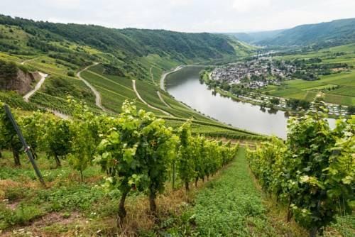 Trabener Hof - by neugart Hotel in Graach an der Mosel
