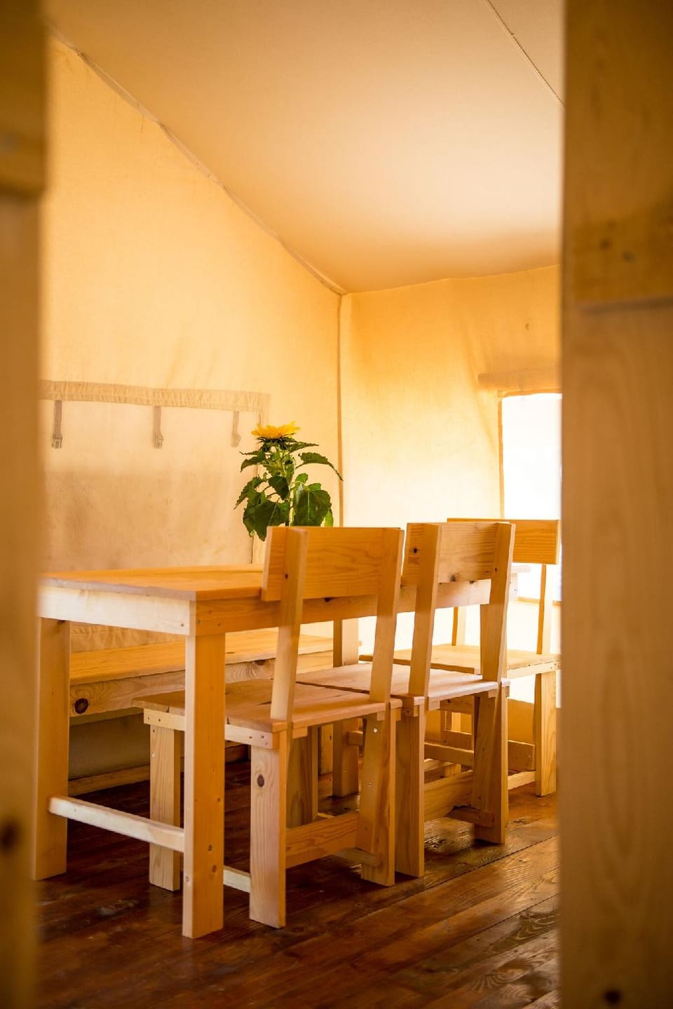 Sunflower Camping Savudrija Hotel in Istria County