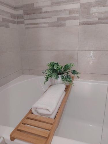 B & B Piazza Angioina Hotel in L'Aquila
