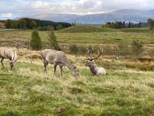 Ardenbeg Hotel in Scotland