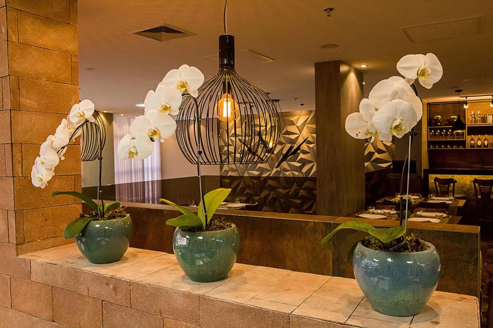Bristol Vicosa Hotel Hotel in State of Minas Gerais, Brazil