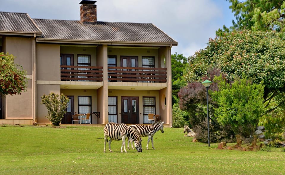 Crystal Springs Mountain Lodge by MyResorts Resort in South Africa
