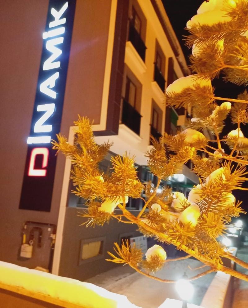 Dinamik Otel Sarikamis Hotel in Turkey